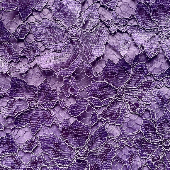 Brand New Beautiful Enfocus Studio Lavender Lace Dress - Picture 10 of 12